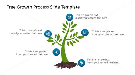 21816-01-tree-growth-process-powerpoint-template-16x9-3 - SlideModel