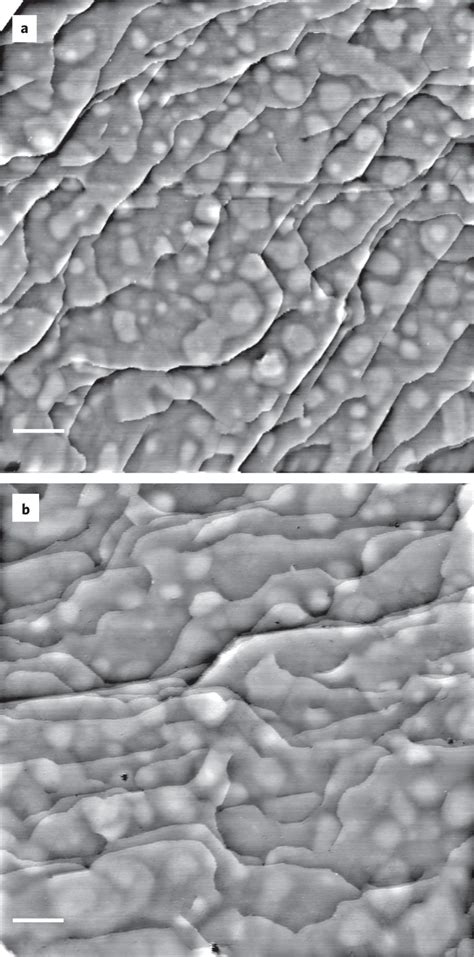 STM Images Of The Co 0001 Sample In UHV And In 950 Mbar Syngas A The