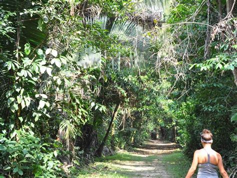 Cockscomb Basin Waterfalls and Jungle Hike Tour - Rancho Grande, Stann ...