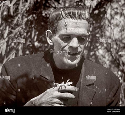 Frankenstein Hi Res Stock Photography And Images Alamy