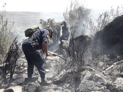 Arequipa Incendio Forestal Arrasa M S De Mil Hect Reas Y Causa Graves