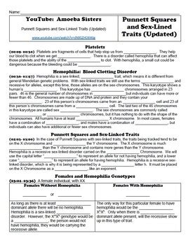 Punnett Squares And Sex Linked Traits Handout For Amoeba Sisters