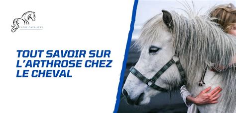 Comment D Tecter Traiter Et Pr Venir Larthrose Du Cheval