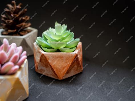 Premium Photo Colorful Pentagon Geometric Planters Painted Concrete