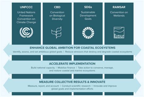 Using Policy As A Tool To Support Conservation And Restoration Of Coastal Blue Carbon Ecosystems