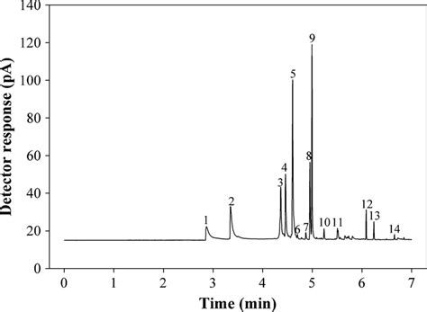 Representative Gas Chromatogram Of Solid Phase Microextractioncollected