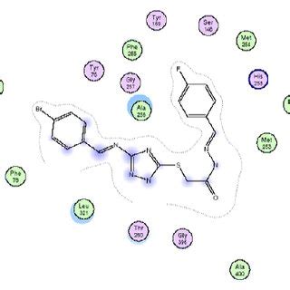 Binding Mode Of Compounds C D Docked And Minimized In The Ea