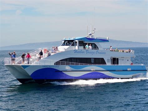 2025年 2seewhales Harbor Breeze Cruises 出発前に知っておくべきことすべて トリップアドバイザー