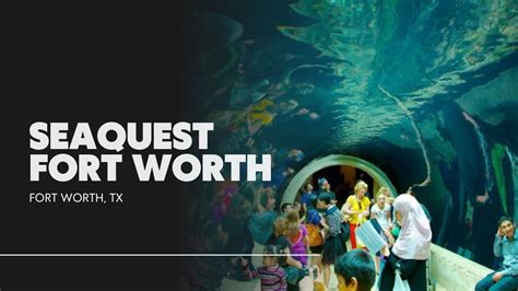 Explore SeaQuest Fort Worth: Interactive Aquarium Adventures