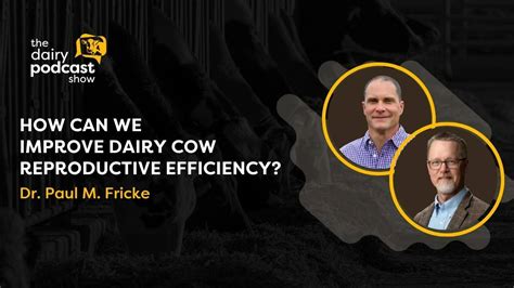 How Can We Improve Dairy Cow Reproductive Efficiency