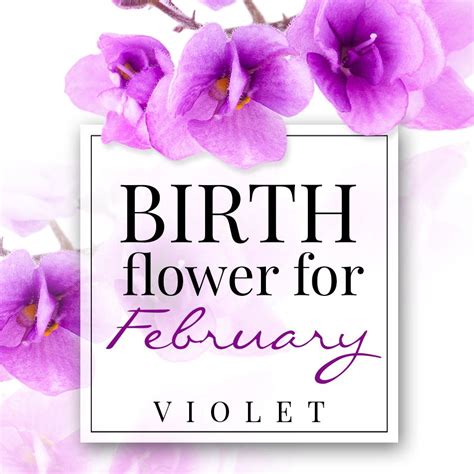 birth flower for february violet February Birth Flower Tattoo With Name ...