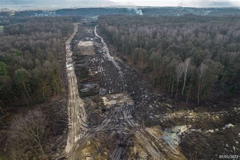 Zmiana Plan W Wycinki Pod Budow S Co Z Drzewami Oznaczonymi Na Czerwono