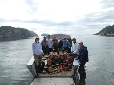 A Boat Full Of Toxic Wood Beach Cleanups In Samish Traditional By Voices For Clean Water