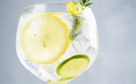 Arriba 65 Imagen Receta Del Gin Tonic Abzlocal Mx