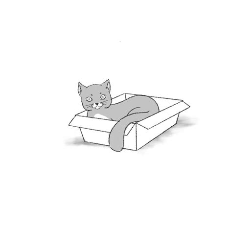 Draw a Cat in a Box in Quick and Easy Steps - Jae Johns