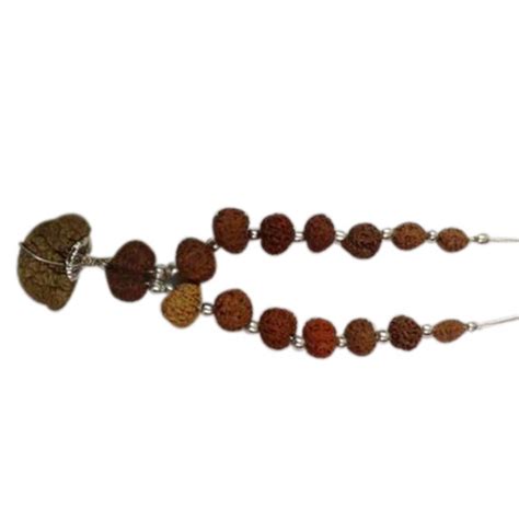 Natural Indrani Rudraksha Mala Spiritual Use Pooja At Best Price In