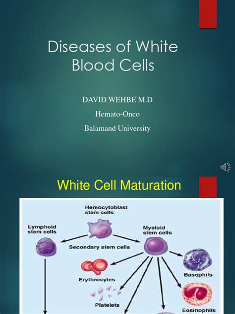 White Blood Cell Disorders | PDF