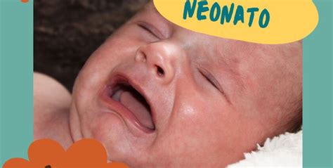 Il Singhiozzo Nel Neonato Osteopatia Infantile Di Guido Viola