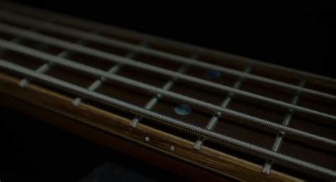 string bass guitars shop  stonefield