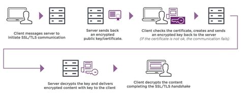 Types Of Ssl Certificates Which One Is Right For Your Site