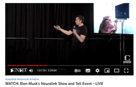 Everything we know about Elon Musk’s brain chip - Online Free courses ...