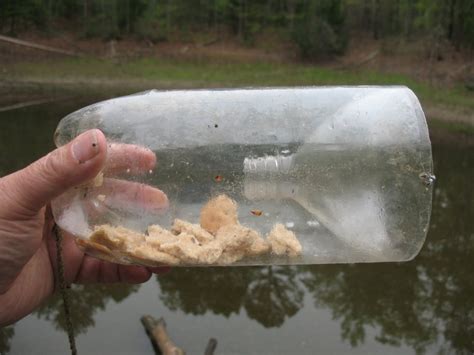 How To Catch Bait And Small Fish With A Plastic Bottle