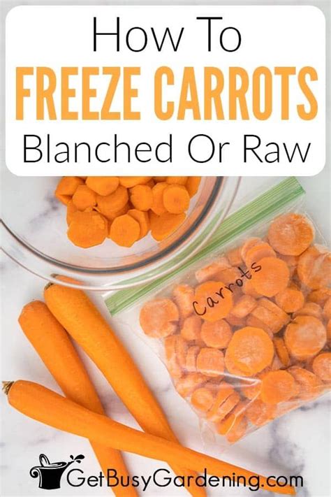 How To Freeze Carrots Step By Step Guide