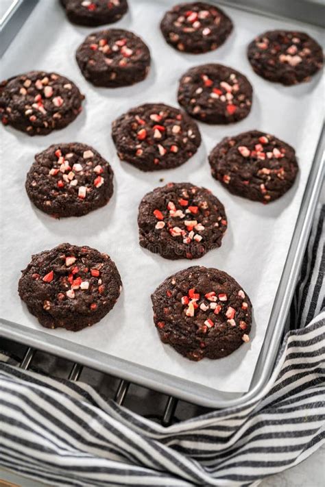 Chocolate Cookies With Peppermint Chips Stock Image Image Of Dessert