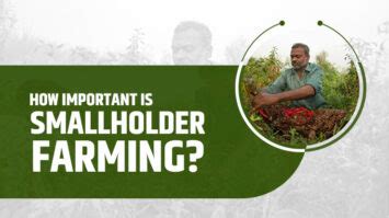 Top 180 Agriculture Questions And Answers Farming FAQ