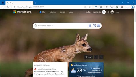 Cómo Borrar El Historial Y Caché En Microsoft Edge