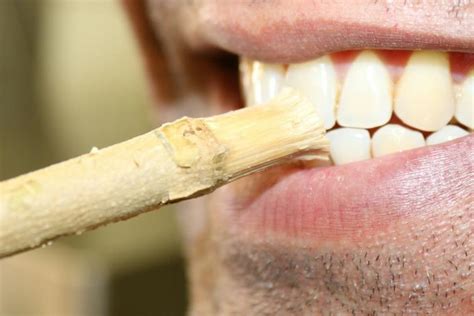 From Toothpicks To Meswak How People Cleaned Their Teeth Before Modern