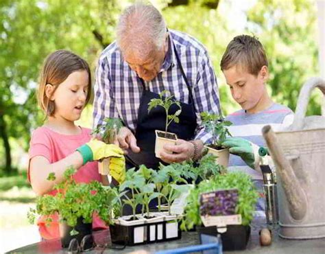 20 Ejemplos Para Enseñar Bondad A Los Niños