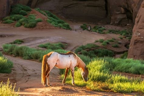 Snapshots Navajo Country Miles 2 Go