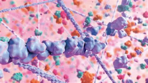 Visualizing Different Models For Protein Binding And Interactions