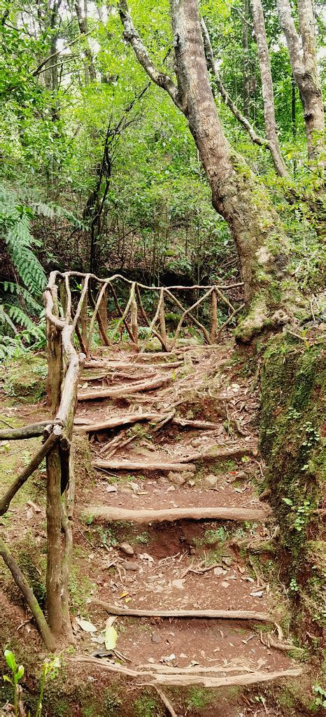 Madeira 2024 Parque Florestal Das Queimadas Is A Natural T Flickr