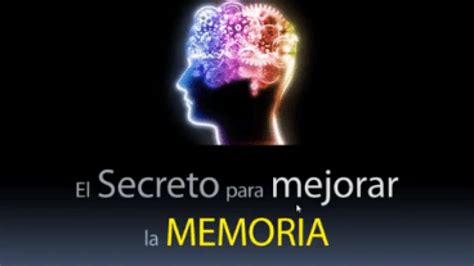 El Secreto Para Mejorar La Memoria Metaaprendizaje