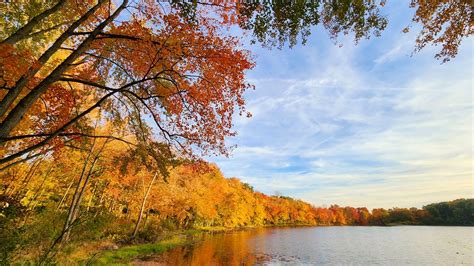 Under The White Oak Leaves Autumn At Echo Lake Tanja Chester Flickr