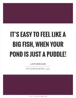 Big Fish Quotes | Big Fish Sayings | Big Fish Picture Quotes