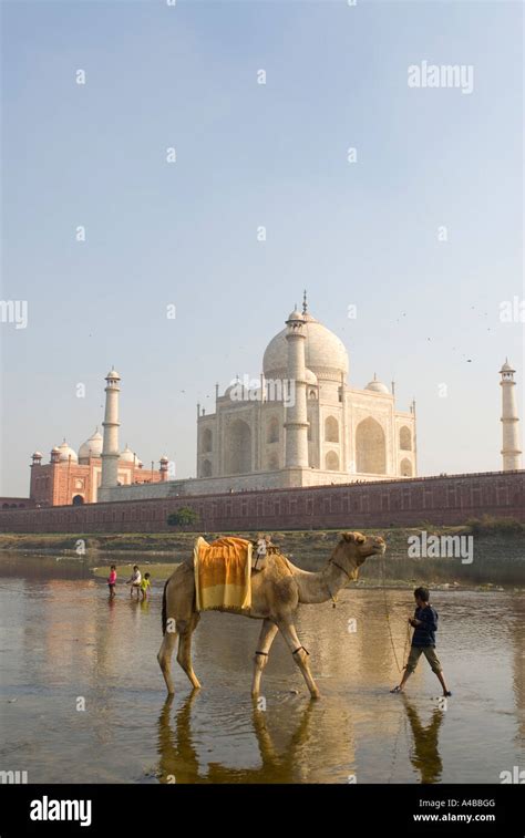 Stock Image Of Taj Mahal From Across The Yamuna River With Windrows For