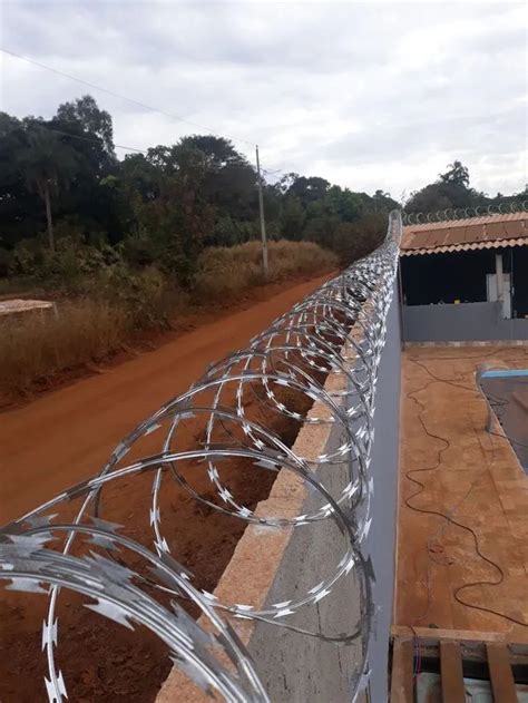 Concertina Dupla clipada 45cm Galvanizada 20 reais o metro já