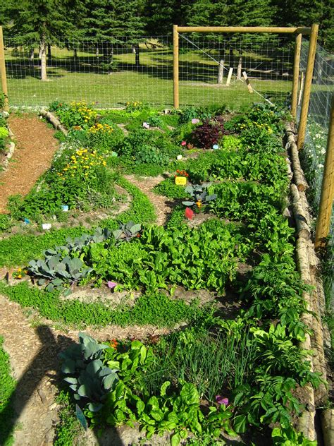 Fundamentals of Permaculture Design – Canmore Community Gardening Society