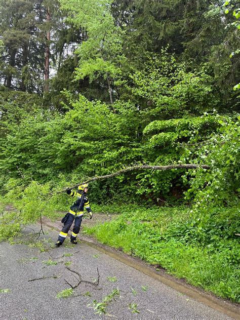 Baum drohte auf Straße zu stürzen Freiwillige Feuerwehr Buch