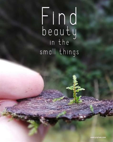 No Need To Climb Everest Beauty Is In The Small Things Inspirational