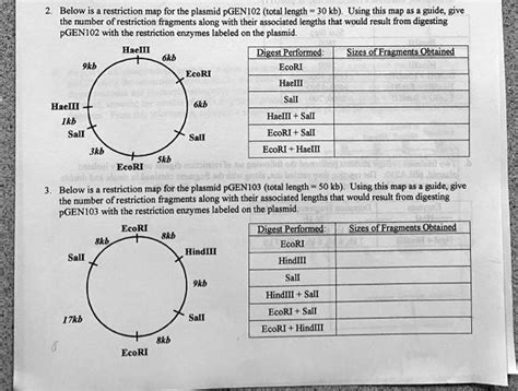 Plasmid Restriction Enzyme Maps