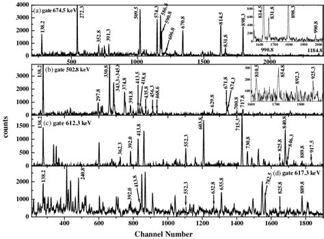 Representative γ γ coincidence spectra showing transitions associated