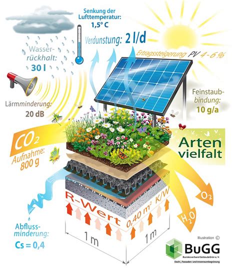 Baudergreen Dachbegrünung Von Bauder