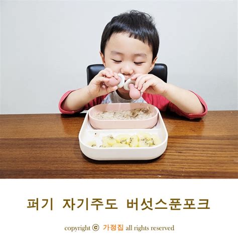 자기주도이유식 성공 비결은 스푼 네이버 블로그