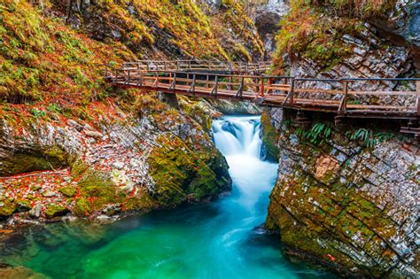 Ngarai Vintgar Gorge Yang Terkenal Dan Dicintai Dengan Jalur Kayu Dalam