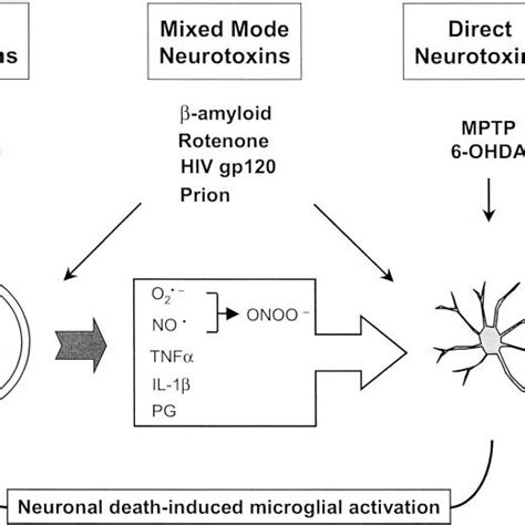 A Simplified Classification Of Three Types Of Potentially Neurotoxic