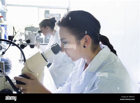 Microscopes Hi Res Stock Photography And Images Alamy